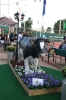 Invitatietoernooi 2010_4